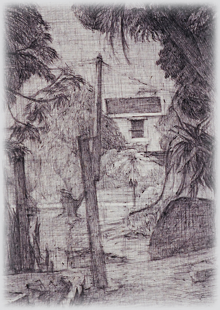 Picture