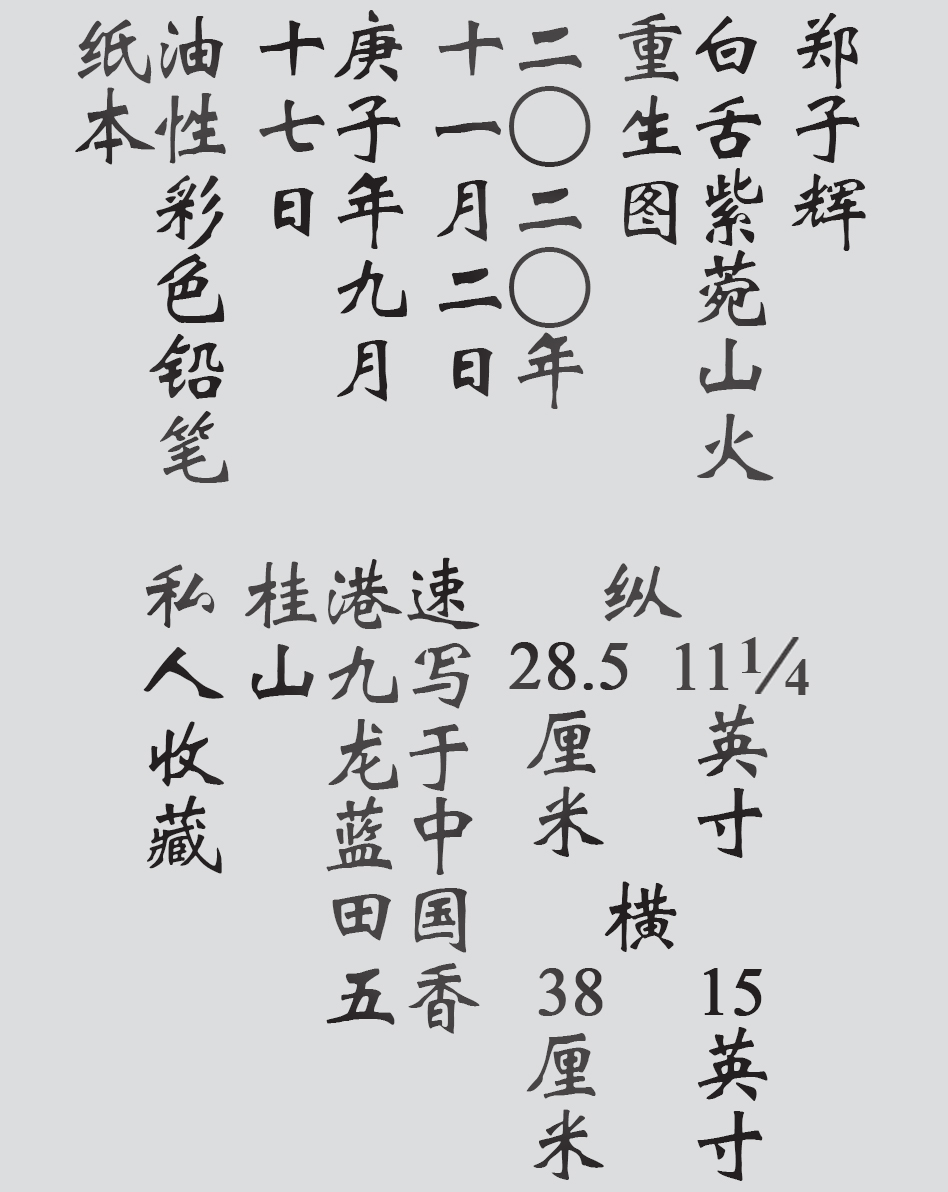 Text