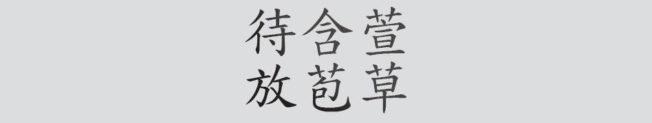 Text