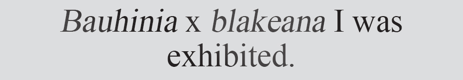 Text