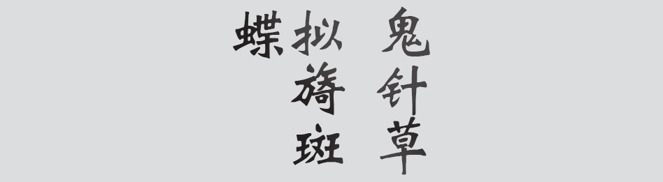 Text