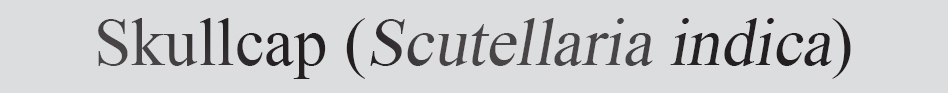 Text