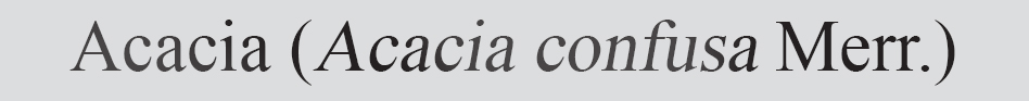Text