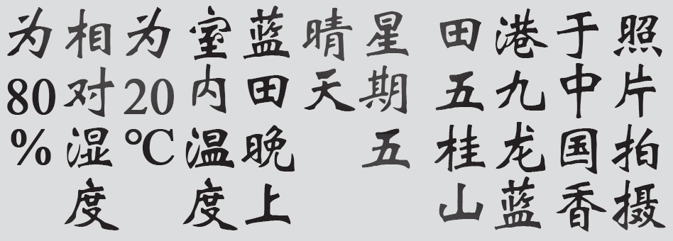 Text