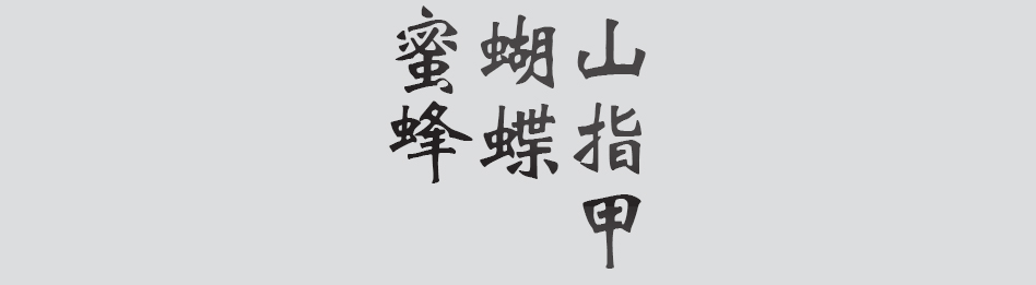 Text