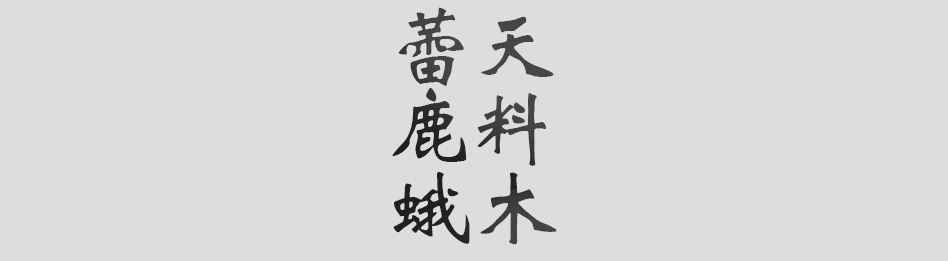 Text