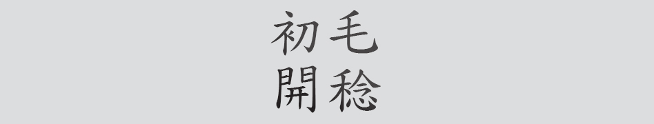 Text