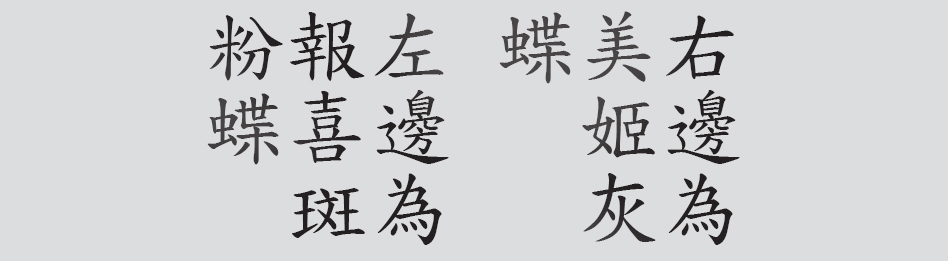 Text