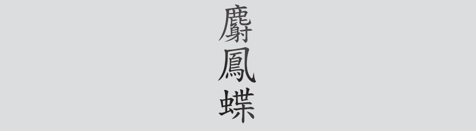 Text