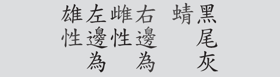 Text