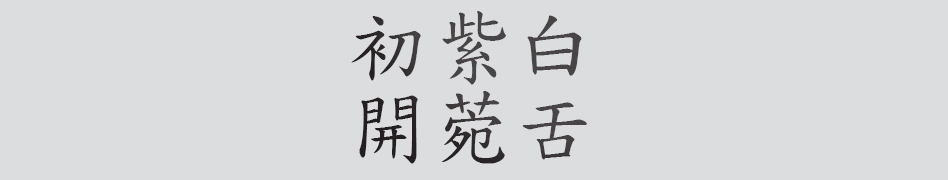 Text