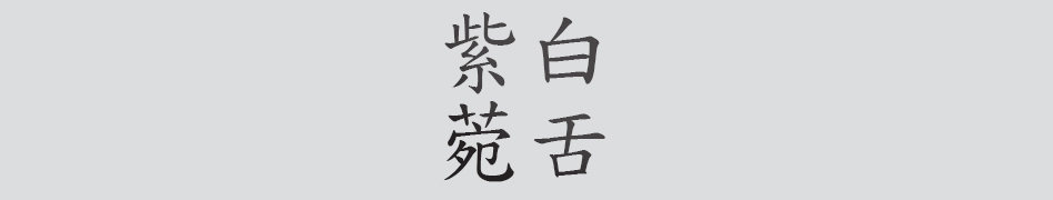 Text