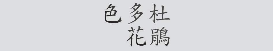 Text