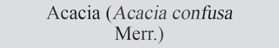 Text