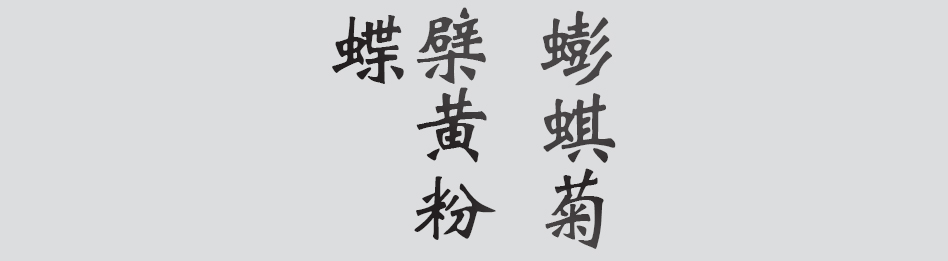 Text