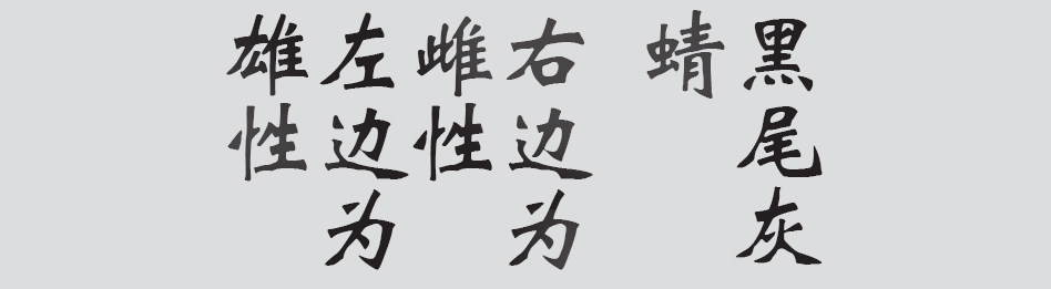 Text