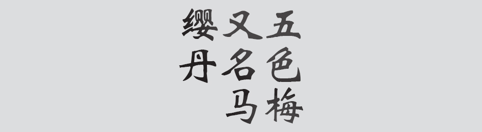 Text