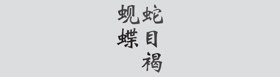 Text