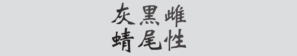 Text