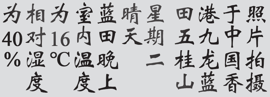 Text