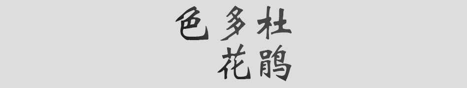 Text