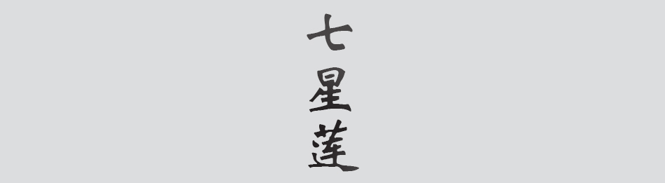 Text