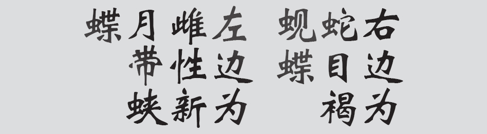 Text