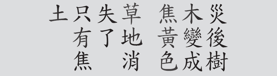 Text
