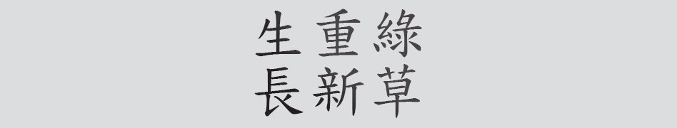 Text
