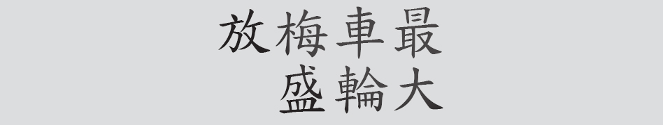 Text