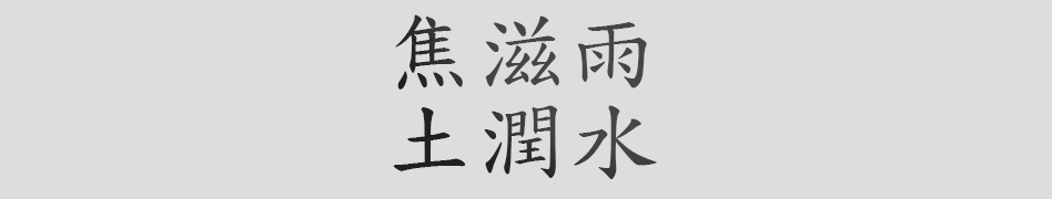Text