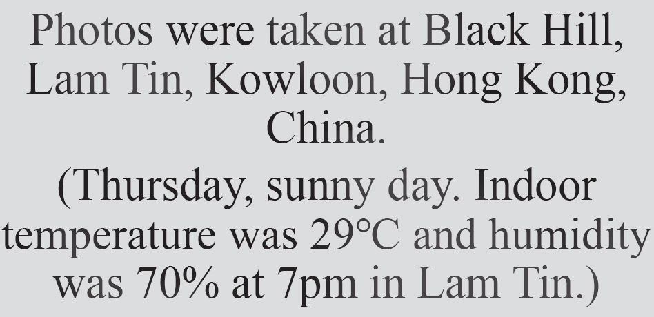 Text