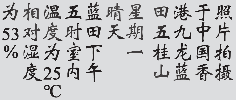 Text