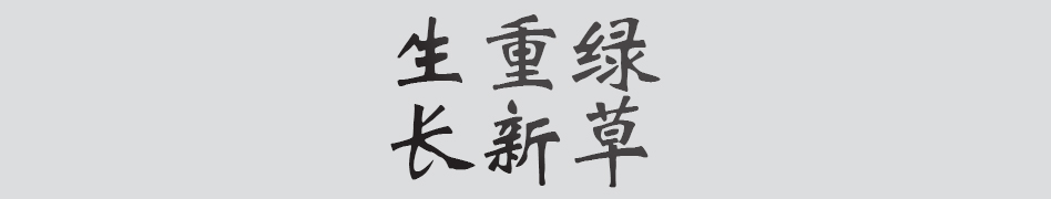 Text