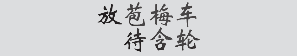 Text