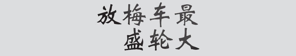 Text