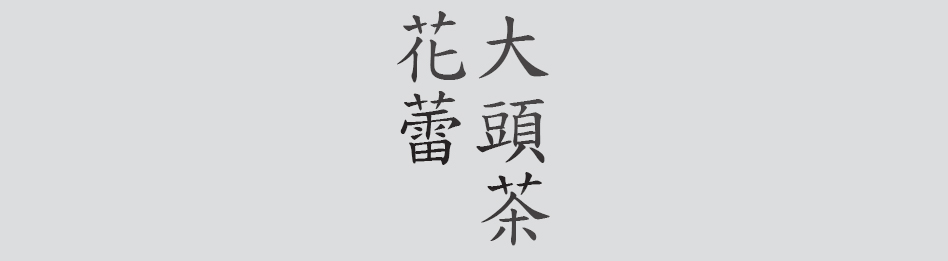 Text