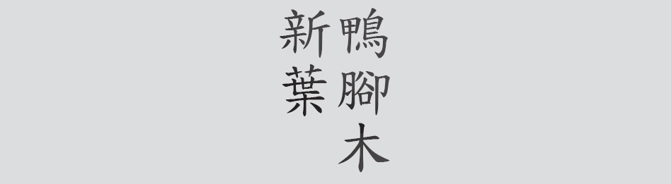 Text