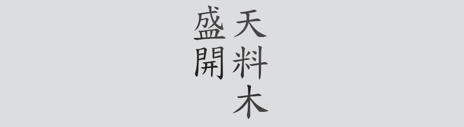 Text