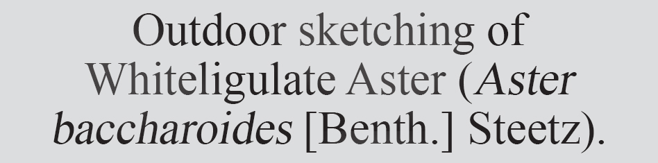 Text