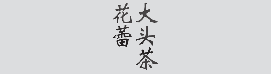 Text