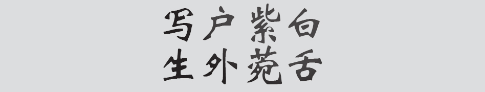Text
