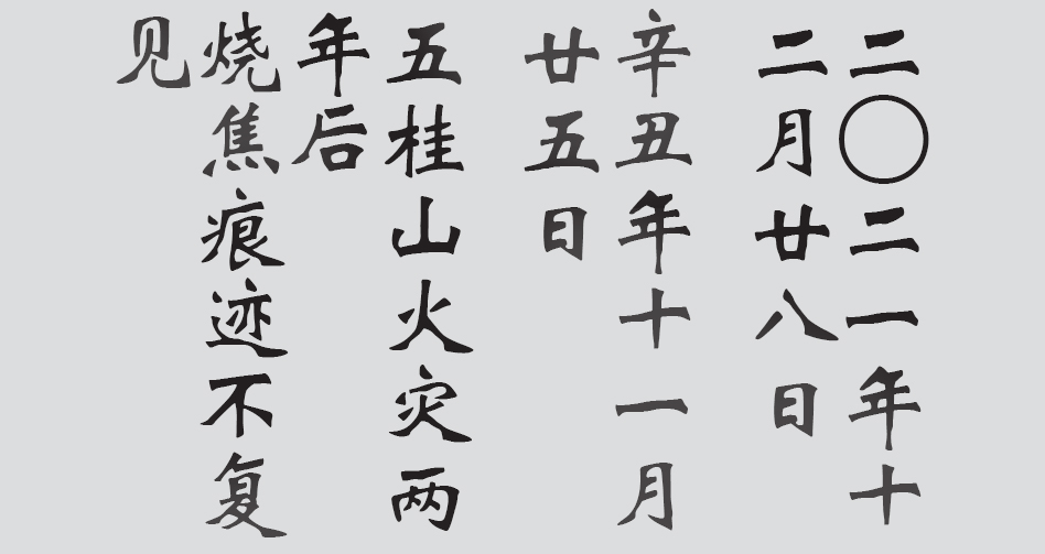 Text