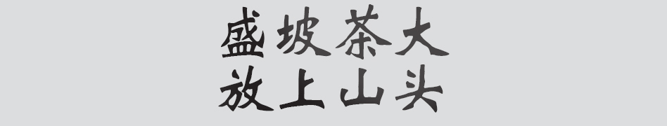 Text