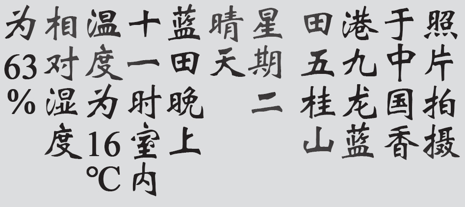 Text