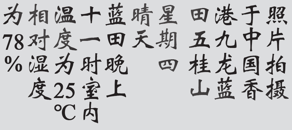 Text