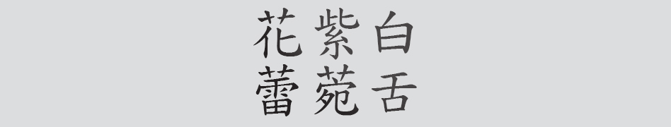 Text