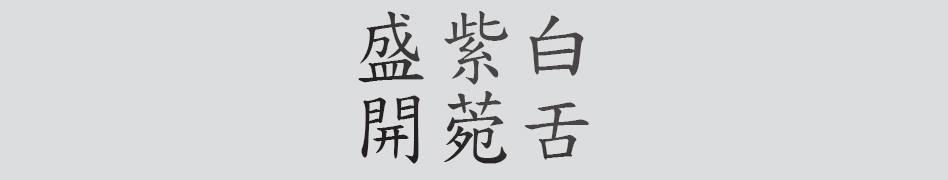 Text