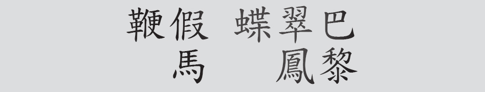 Text
