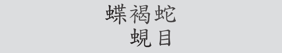 Text